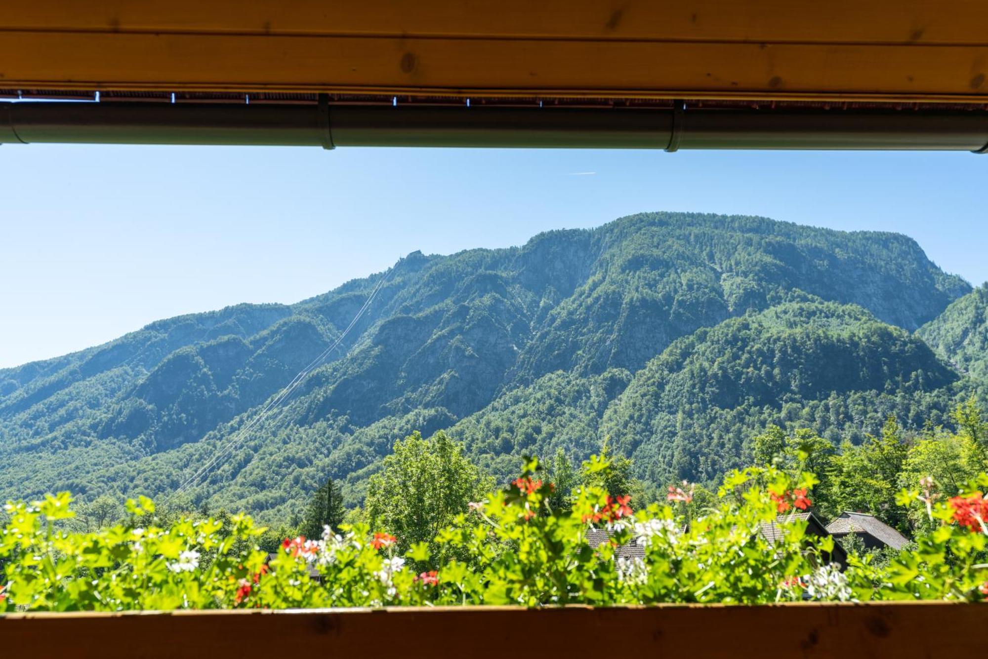 Alpik Chalets - Bohinj Habitación foto